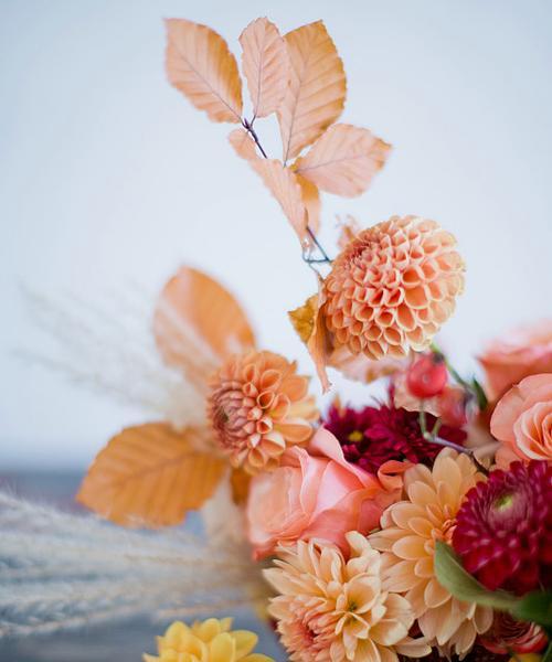 朋友送的橘红色的花寓意是什么？橘红色花代表什么？