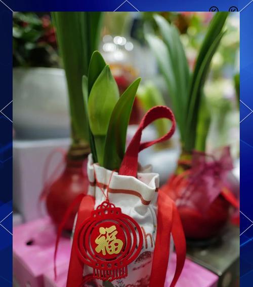 春节餐巾花有何寓意？它们象征着什么？