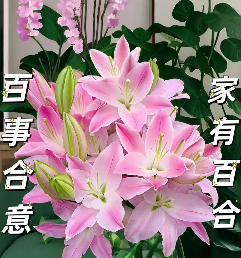 金色百合花代表什么？金色百合花的寓意是什么？
