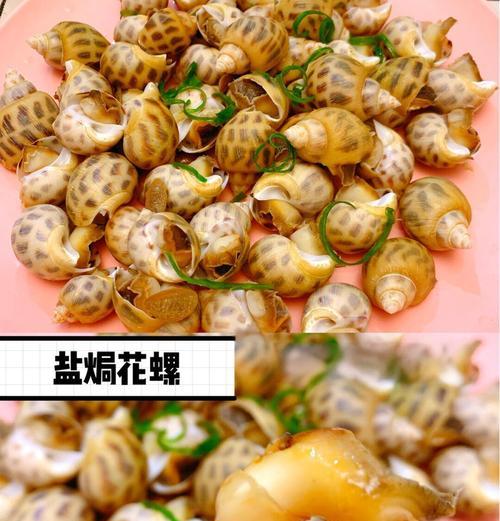 花螺的吉祥寓意是什么？花螺在文化中代表什么？