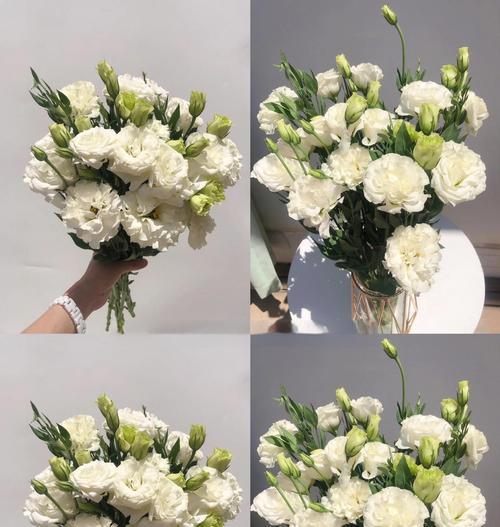 浪漫花语代表什么爱？浪漫花语的含义是什么？