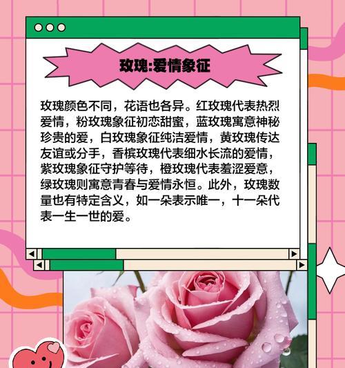 花的浪漫含义和代表意义有哪些？