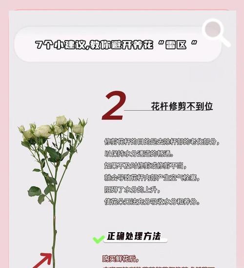 寓意健康的花材养护方法是什么？