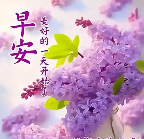 淡紫色花朵通常代表什么寓意？