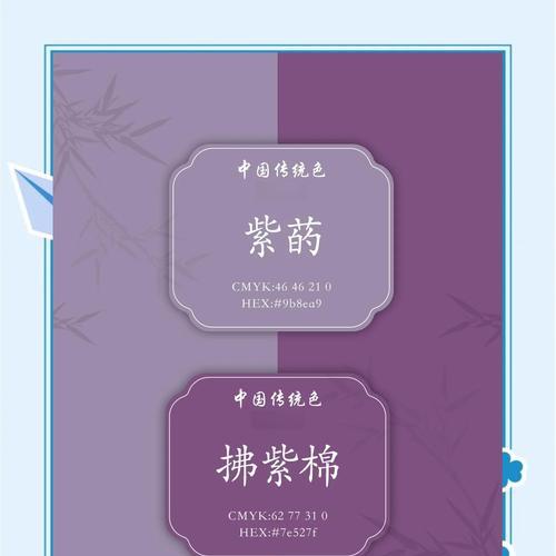 紫色星星花有何寓意？它象征着什么？