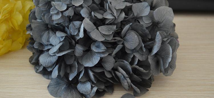 黑色绣球永生花的寓意是什么？黑色绣球永生花的象征意义是什么？