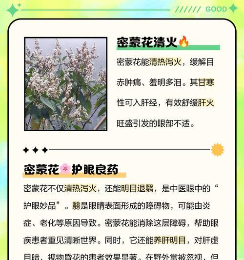 黄色花的含义是什么？哪种黄色花最具有象征意义？