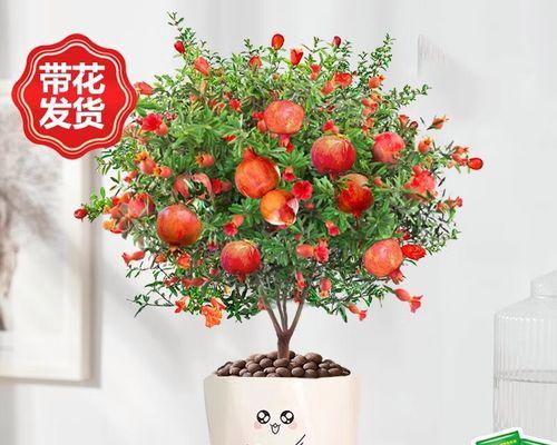 象征前途无量的爱情的花有哪些？它们代表什么？