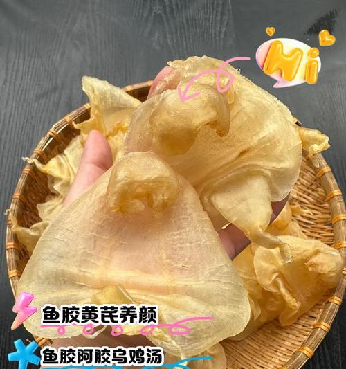 鱼胶的浪漫花语是什么？鱼胶花语代表什么？