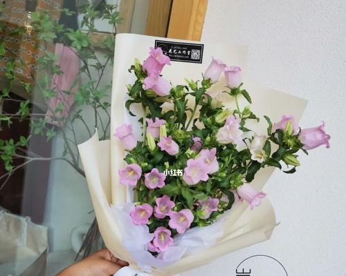 七色风铃花代表了什么？