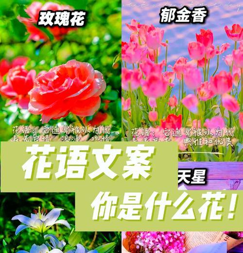 用花象征爱情的古诗有哪些？如何理解这些诗句中的花语？