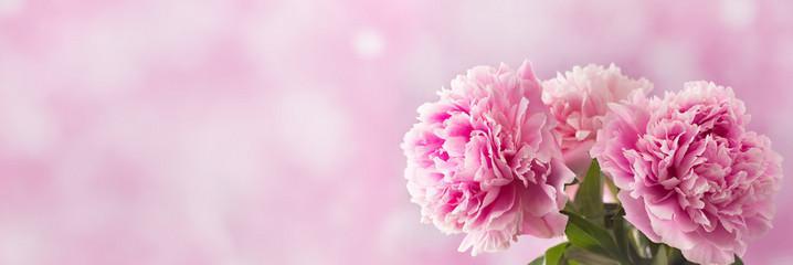 圣诞节送三朵花有什么含义？三朵花的寓意是什么？
