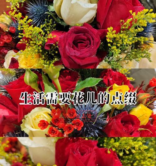 哪种花象征着爱与幸福？它的寓意是什么？