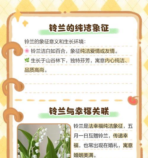 白色的蓝花有何寓意？白色蓝花象征着什么？