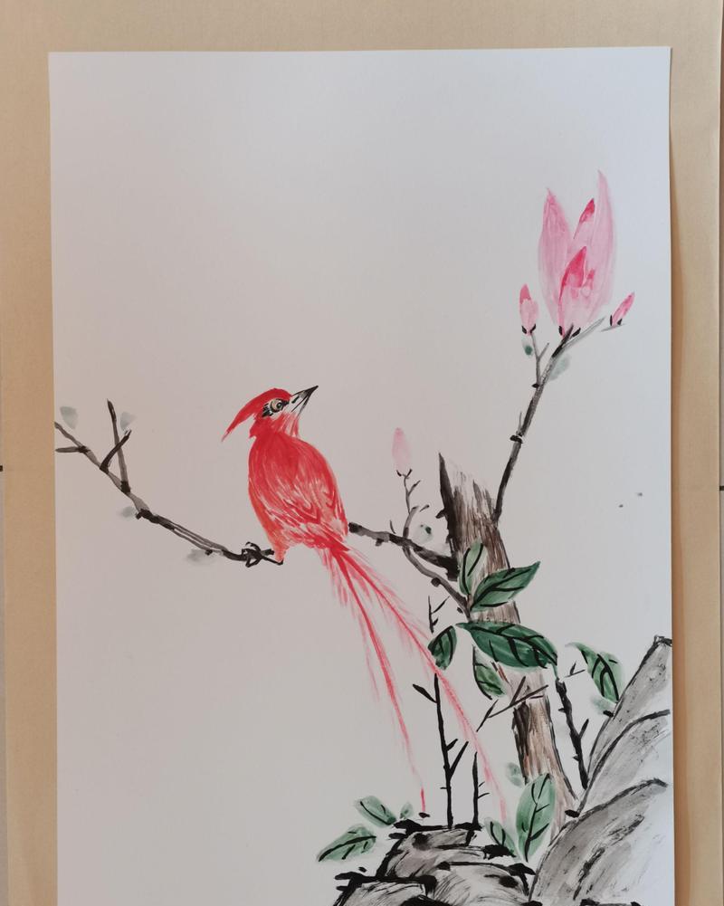 长寿鸟花的寓意和象征有哪些？