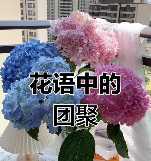 哪种花象征幸福团圆？幸福团圆花语有哪些？