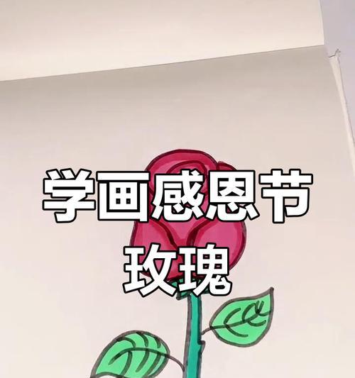 感恩节送玫瑰给妈妈有何特殊含义？