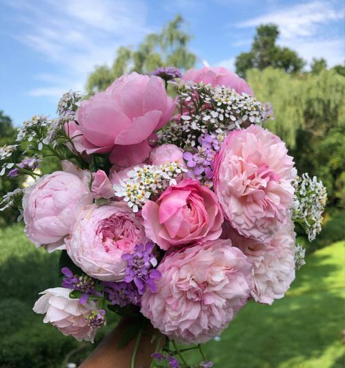 哪种花象征自由快乐？如何用花表达自由快乐？