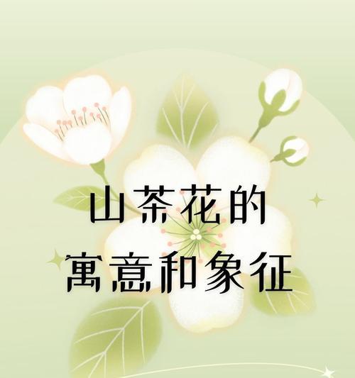 红色的花通常代表什么？红色花卉的象征意义。043