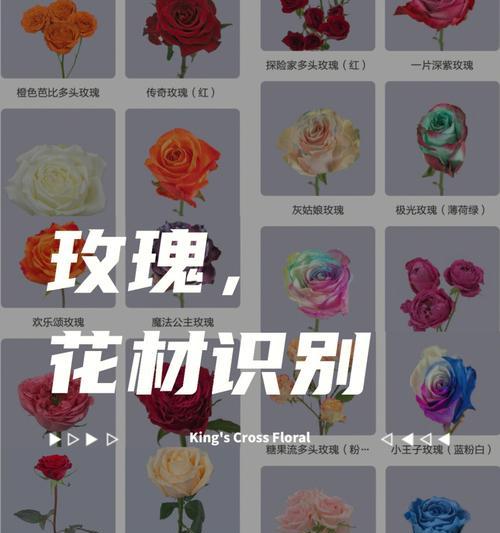 五月节的花语是什么？