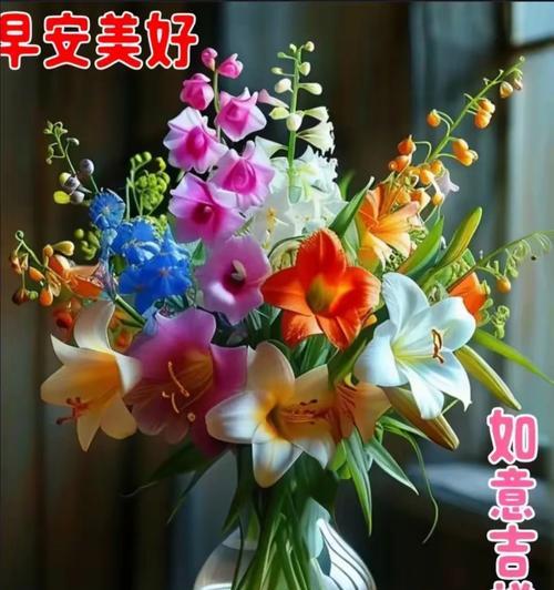 哪种花寓意朋友平安？