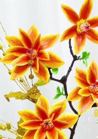 哪种花寓意朋友平安？