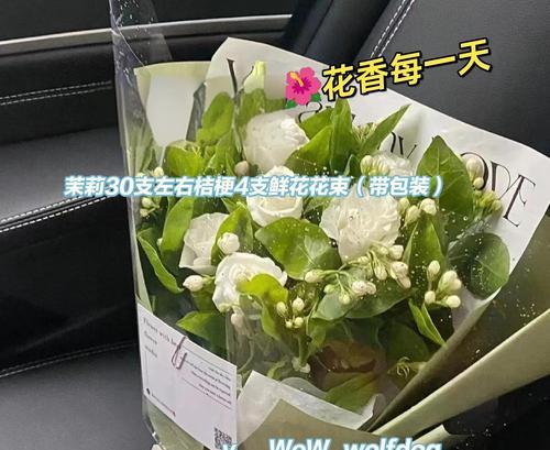 哪种花象征忠诚和爱情？