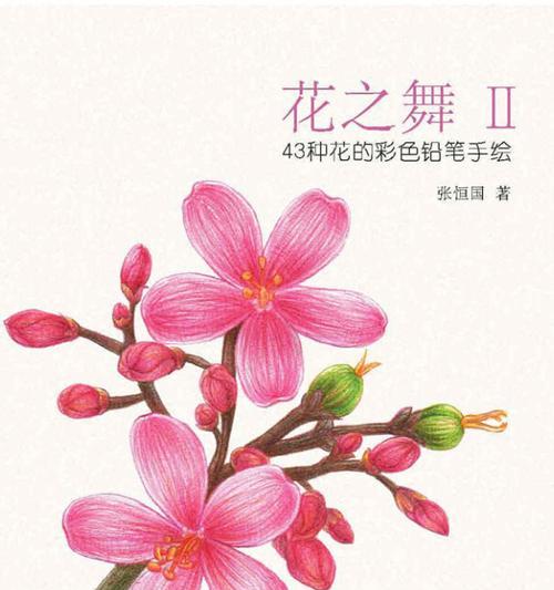 彩色的花的寓意是什么呢？如何选择寓意丰富的彩色花卉？