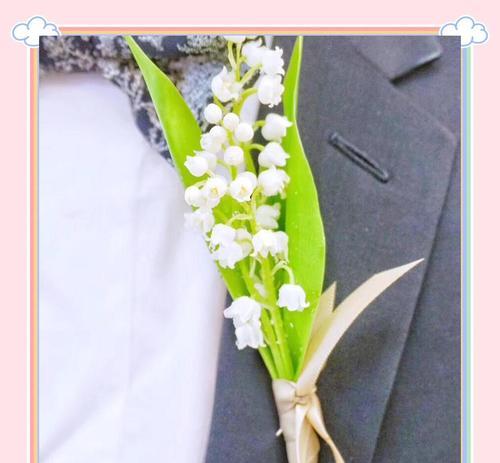 铃兰手捧花有什么特别含义？
