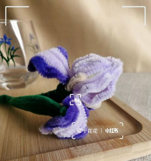 棕色象征勤劳的花是什么？哪种花代表着勤奋和努力？