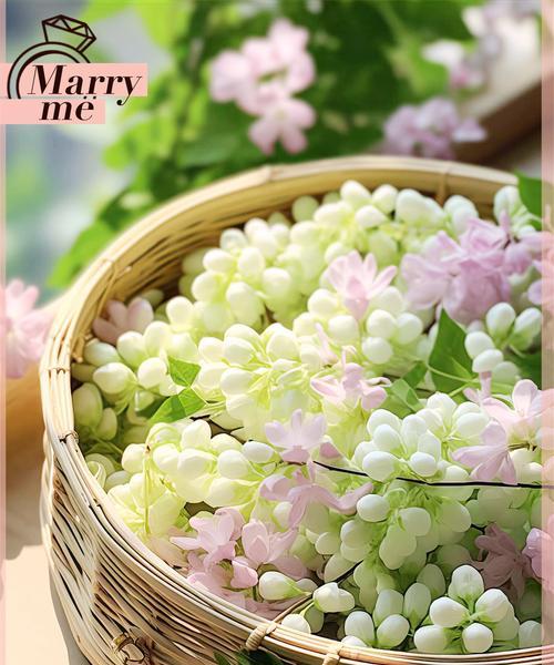 白色茉莉花象征着什么纯洁的含义？