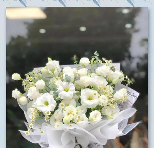 桔梗花颜色搭配的寓意是什么？如何选择桔梗花颜色？