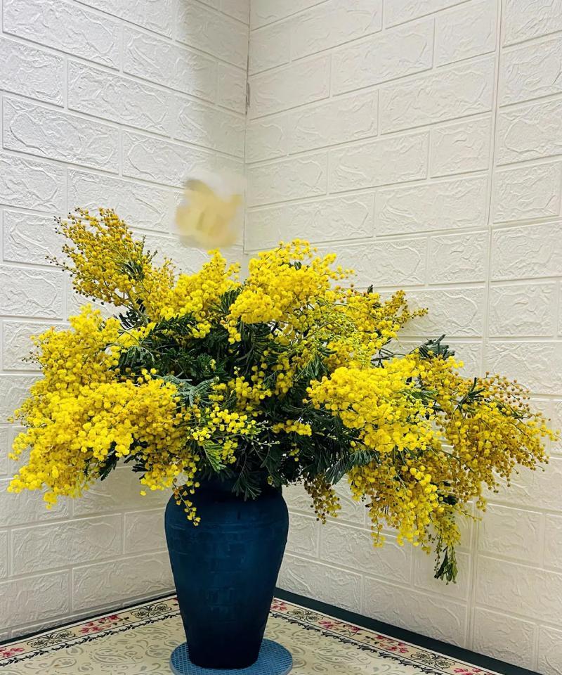 花的颜色有哪些象征意义？不同颜色的花代表什么？