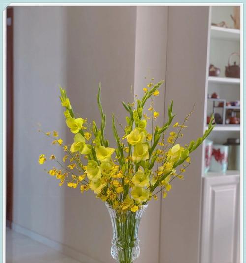 黄色的花通常象征什么？黄色花的象征意义有哪些？