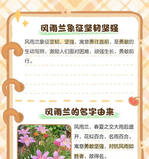 白色风雨花的花语是什么？