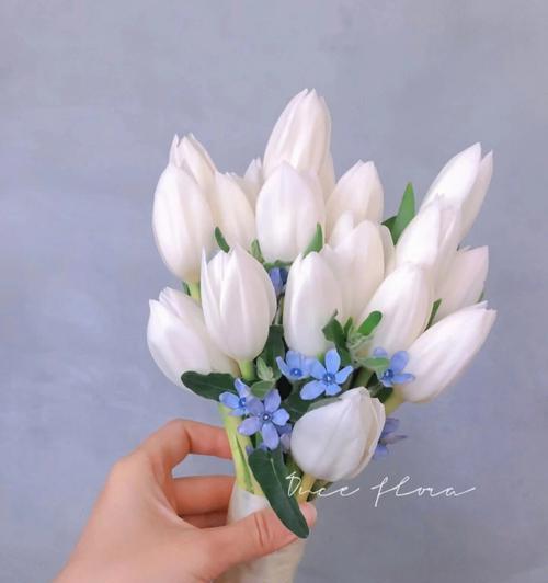 白色手捧花代表了什么？