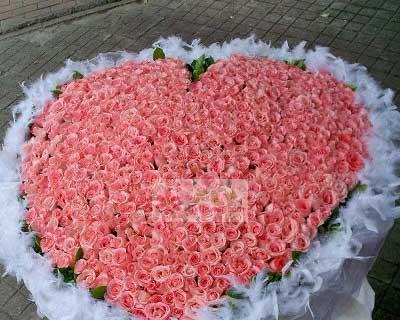 6朵粉色玫瑰花代表了什么？它们的花语有何特别之处？