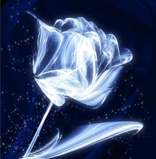 蓝色妖姬永生花代表了什么？它的花语和寓意是什么？