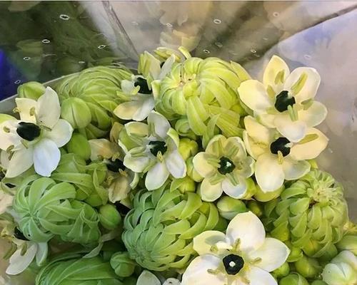 哪个季节的风有特别的花语？风的季节花语有哪些？