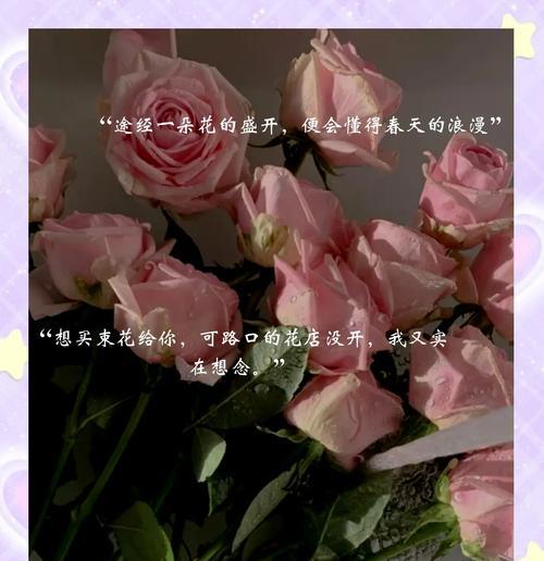四朵花背后的浪漫寓意是什么？四朵花象征着什么浪漫意义？