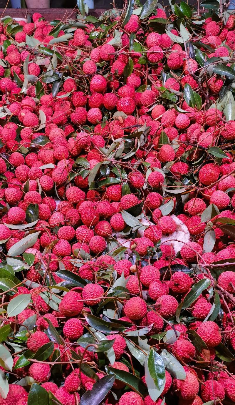 粉色的荔枝花有什么寓意？荔枝花的象征意义是什么？