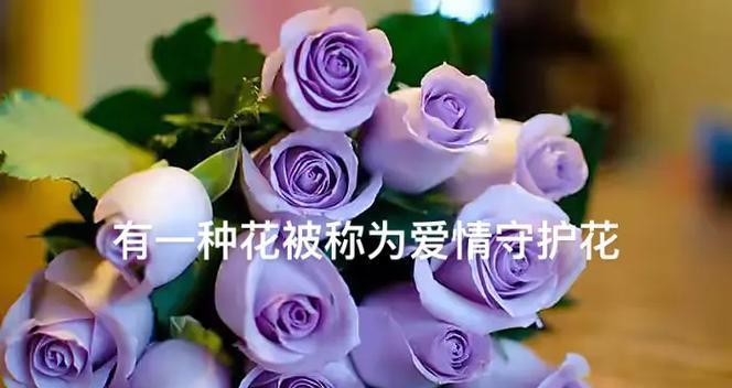 同一种花不同颜色的寓意是什么？颜色变化对花语有何影响？