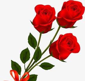 三朵粉色玫瑰花代表什么？粉色玫瑰花的寓意是什么？