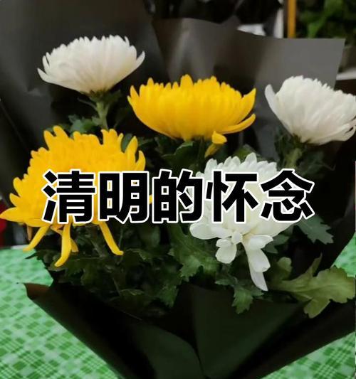扫墓时用黄色花有什么含义？黄色花在扫墓中的寓意是什么？