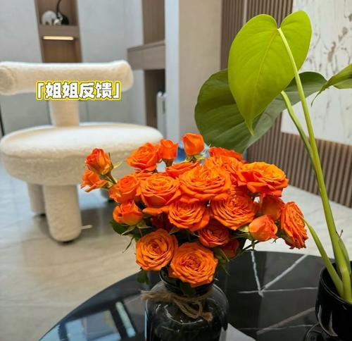夏朵花的浪漫花语是什么？夏季花卉如何表达爱意？