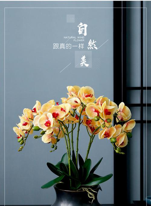 黄色与白色花搭配有何意义？
