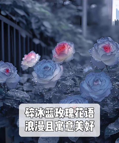 浪漫花语具体是什么？花语的浪漫含义是什么？