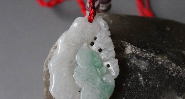 竹节花的寓意和象征是什么？它代表什么？