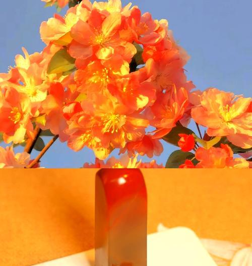 哪些花充满爱情的寓意？
