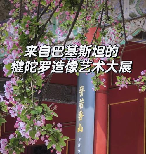 神话里的花有什么寓意？这些花在神话中扮演什么角色？